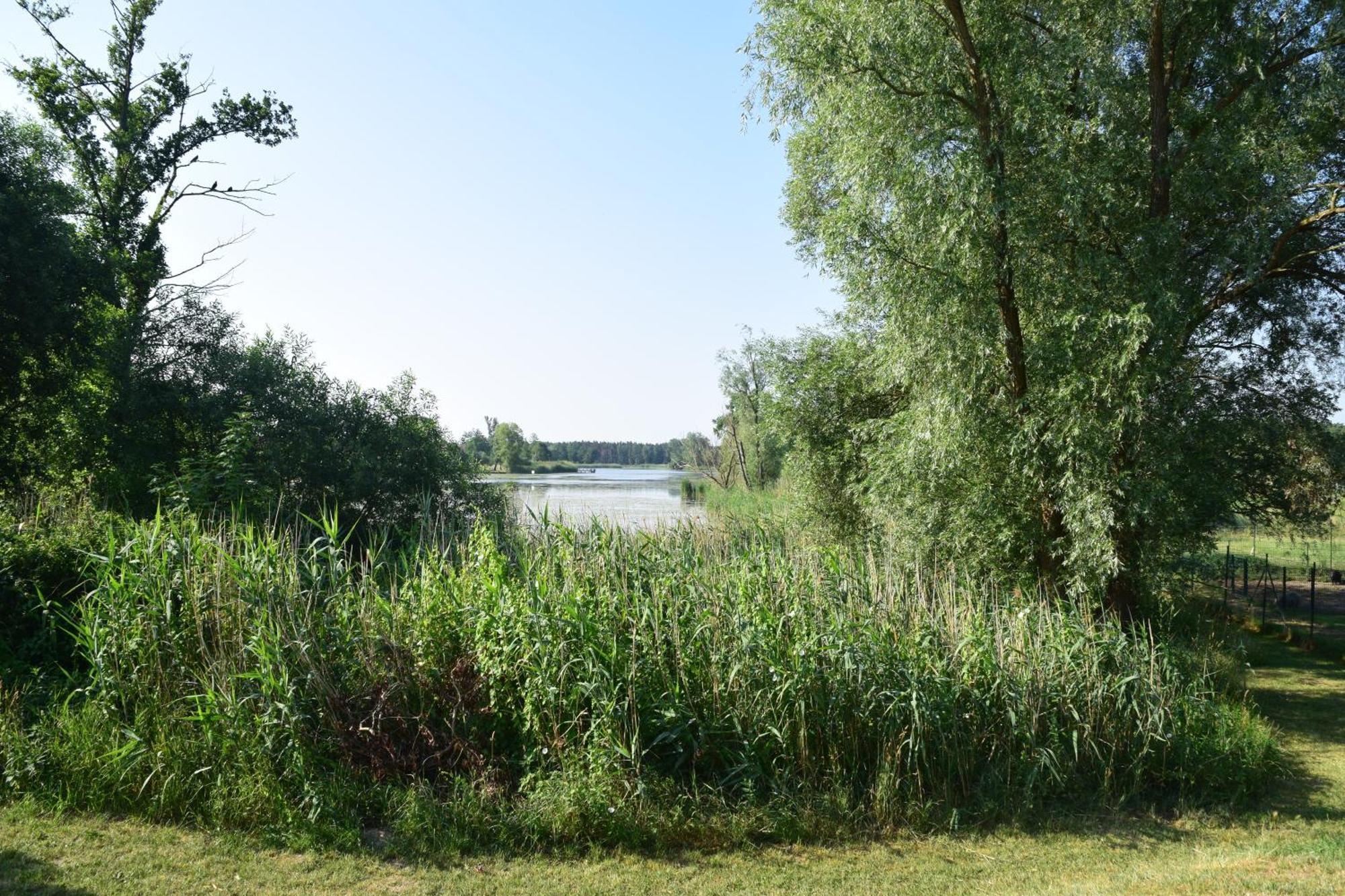 Land-Gut-Hotel Seeblick Klietz Exterior photo